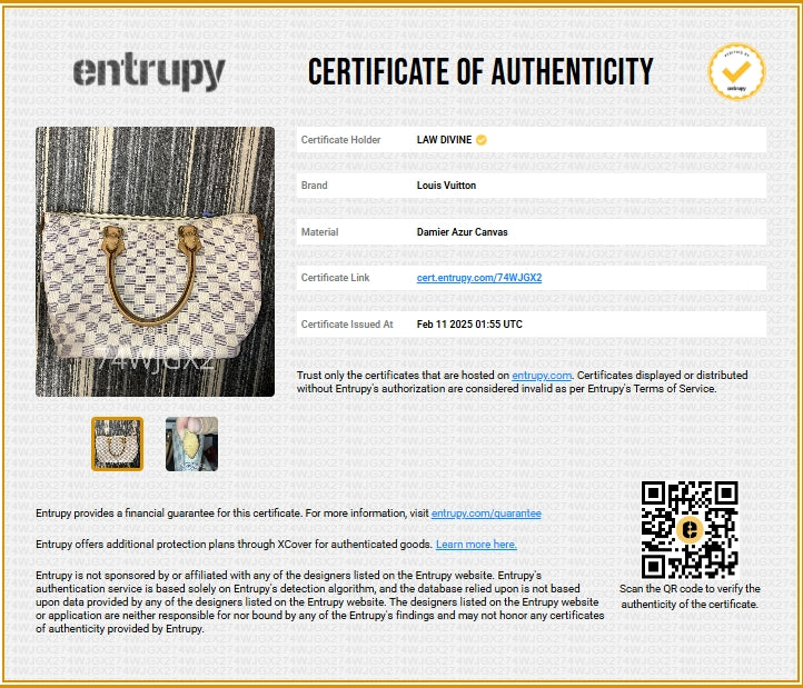 Saleya Handbag Damier PM