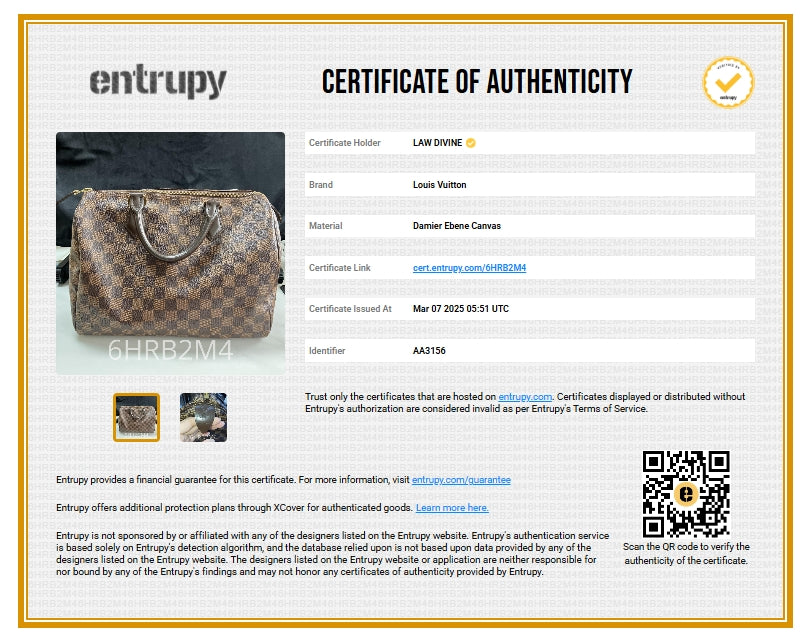 Speedy Handbag Damier 30