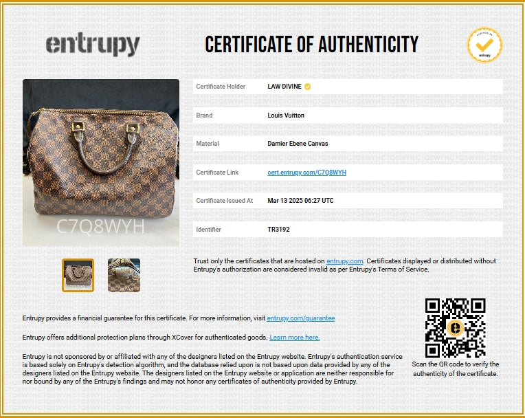 Speedy Bag Damier 30