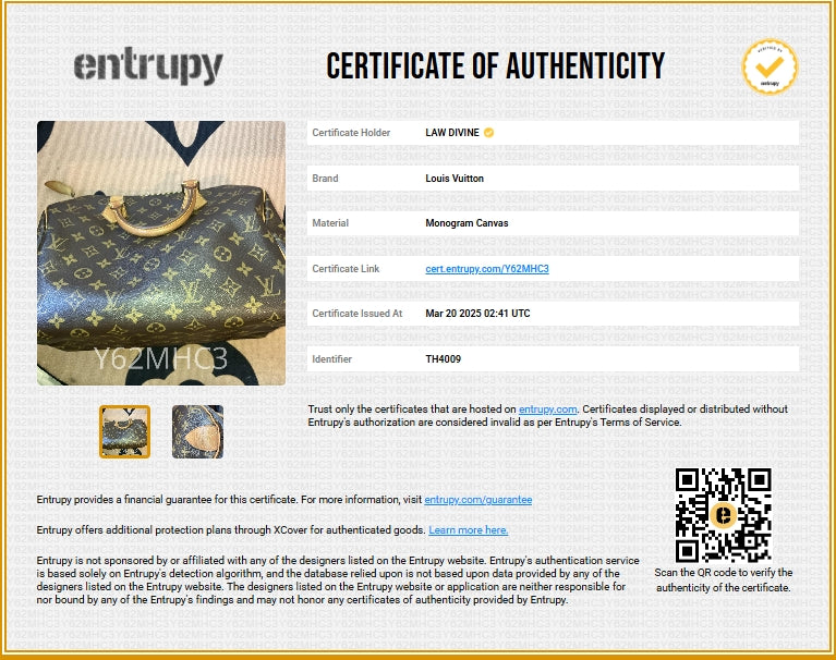 Speedy Handbag Monogram Canvas 30