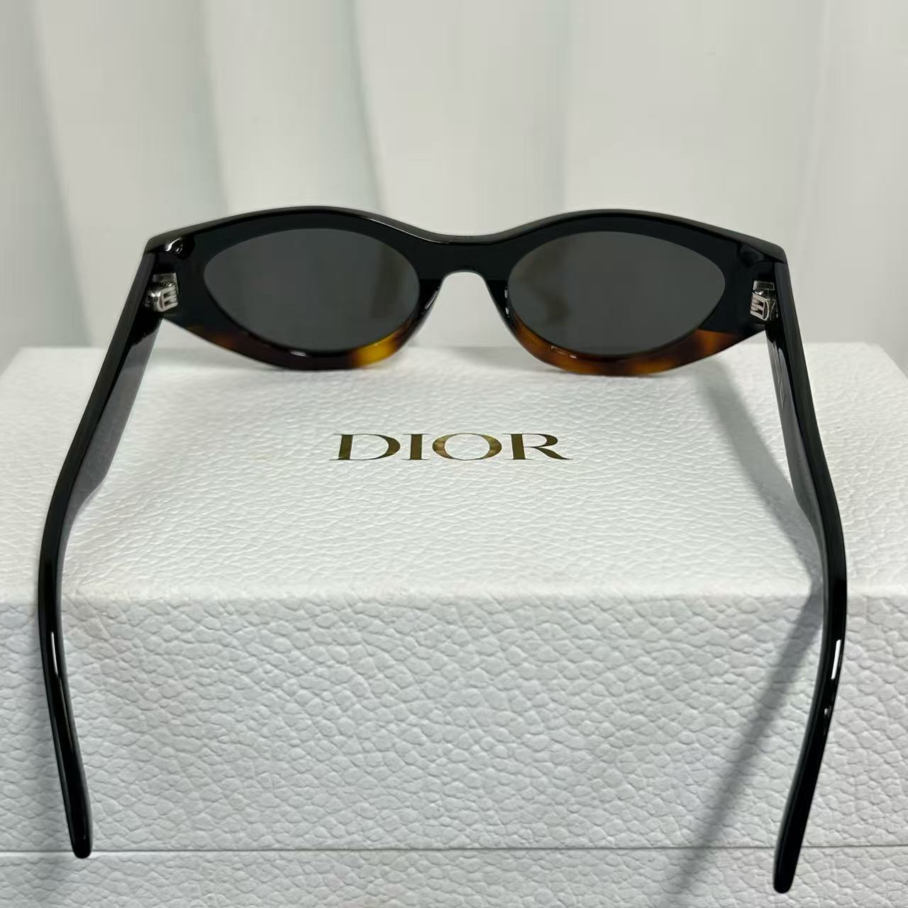 Dior Diorsignature B51 Cat-Eye Acetate Sunglasses Twins LDJ3641