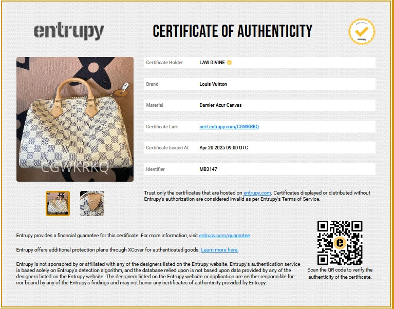 Speedy Handbag Damier 25