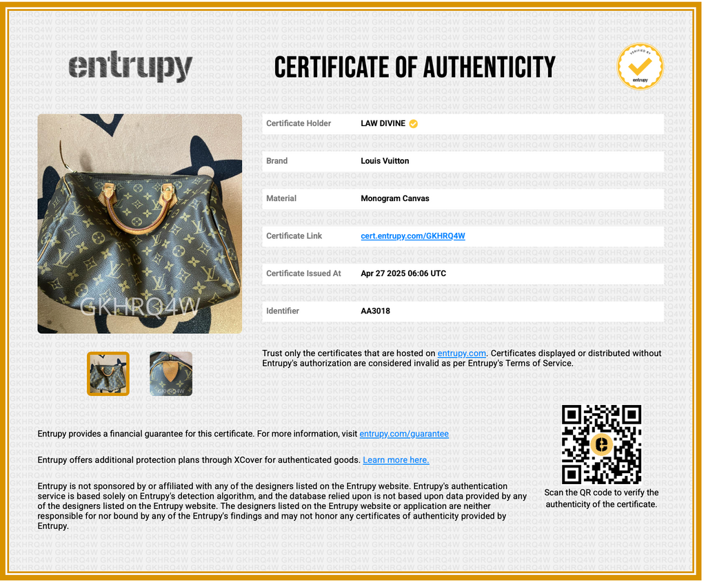 Speedy Handbag Monogram Canvas 30