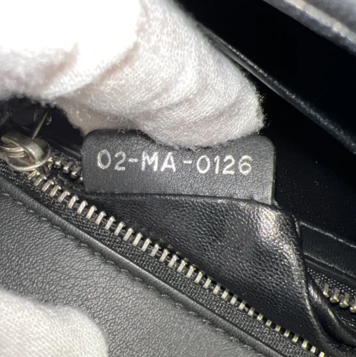 Christian Dior Paradise Diorama Flap Bag B24182
