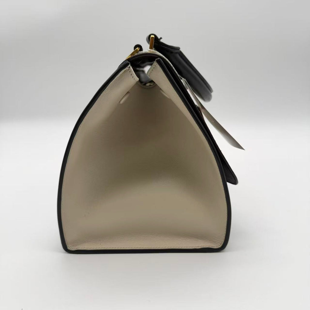 Trapeze Medium Handbag Python Suede Twins