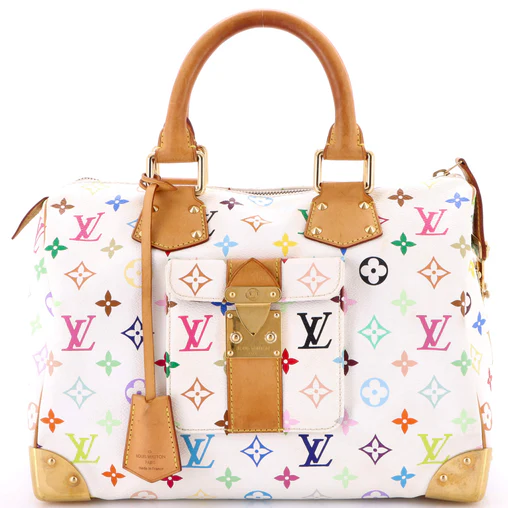 Speedy Handbag Monogram Multicolor 30