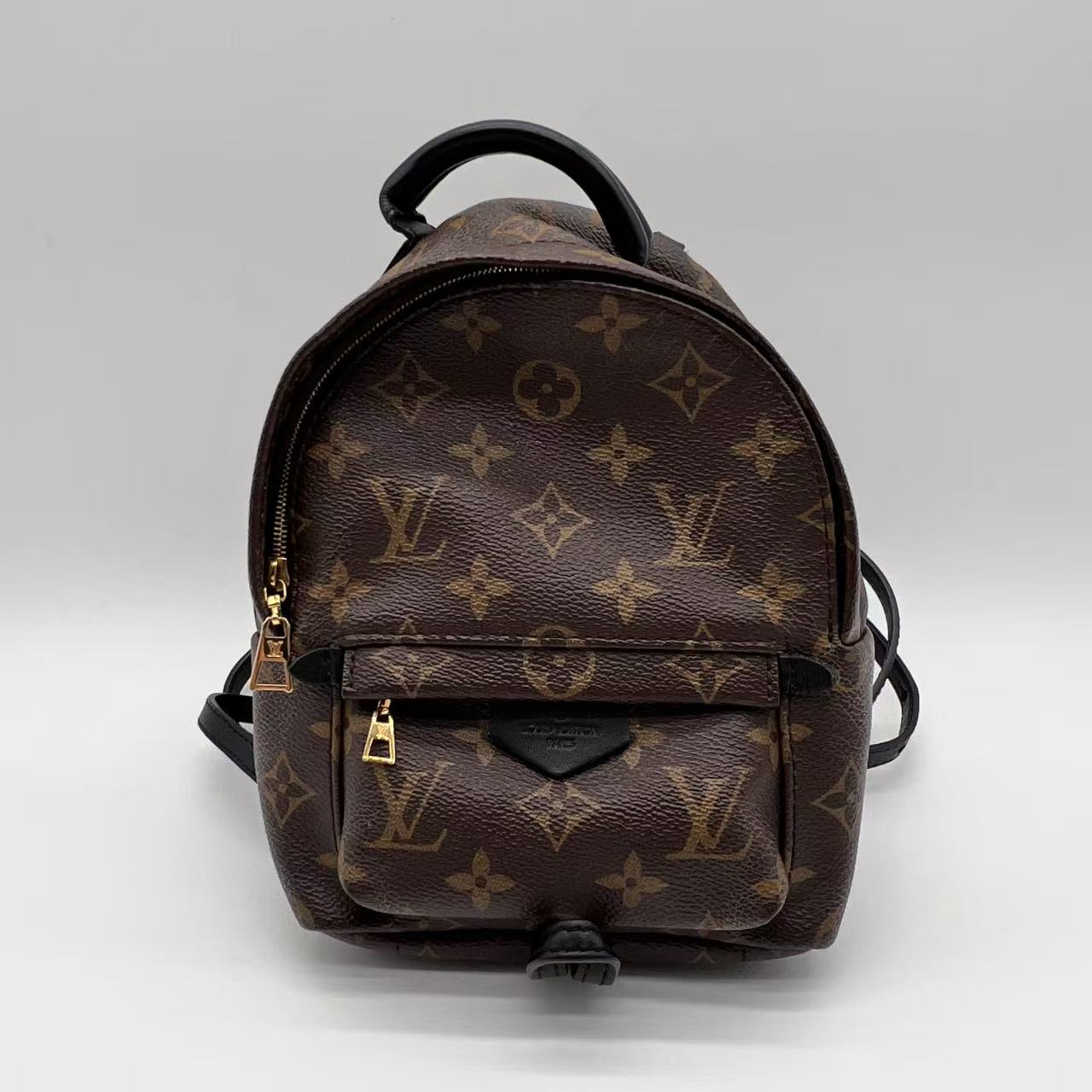 Palm Spring Mini