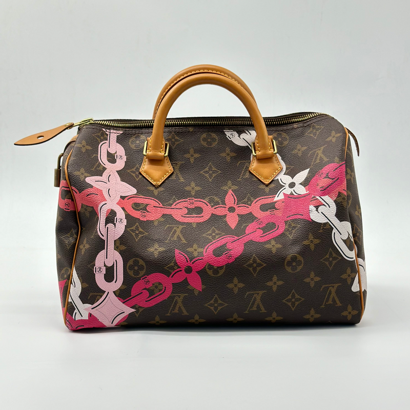 Louis Vuitton Speedy Handbag Limited Edition Bay Monogram Canvas 30