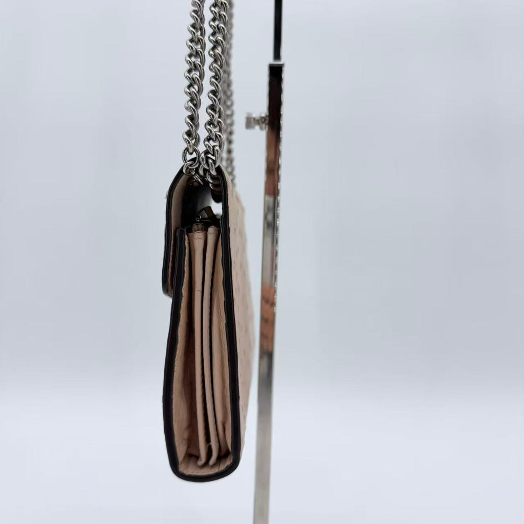 Ostrich Dionysus Wallet On Chain