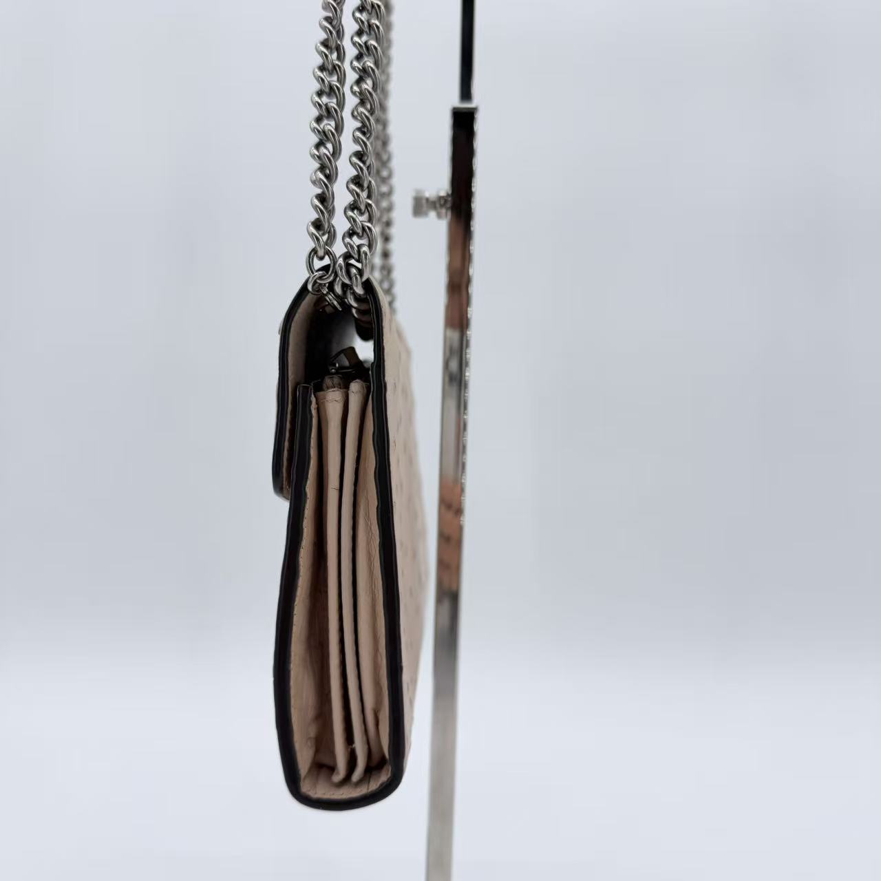 Ostrich Dionysus Wallet On Chain