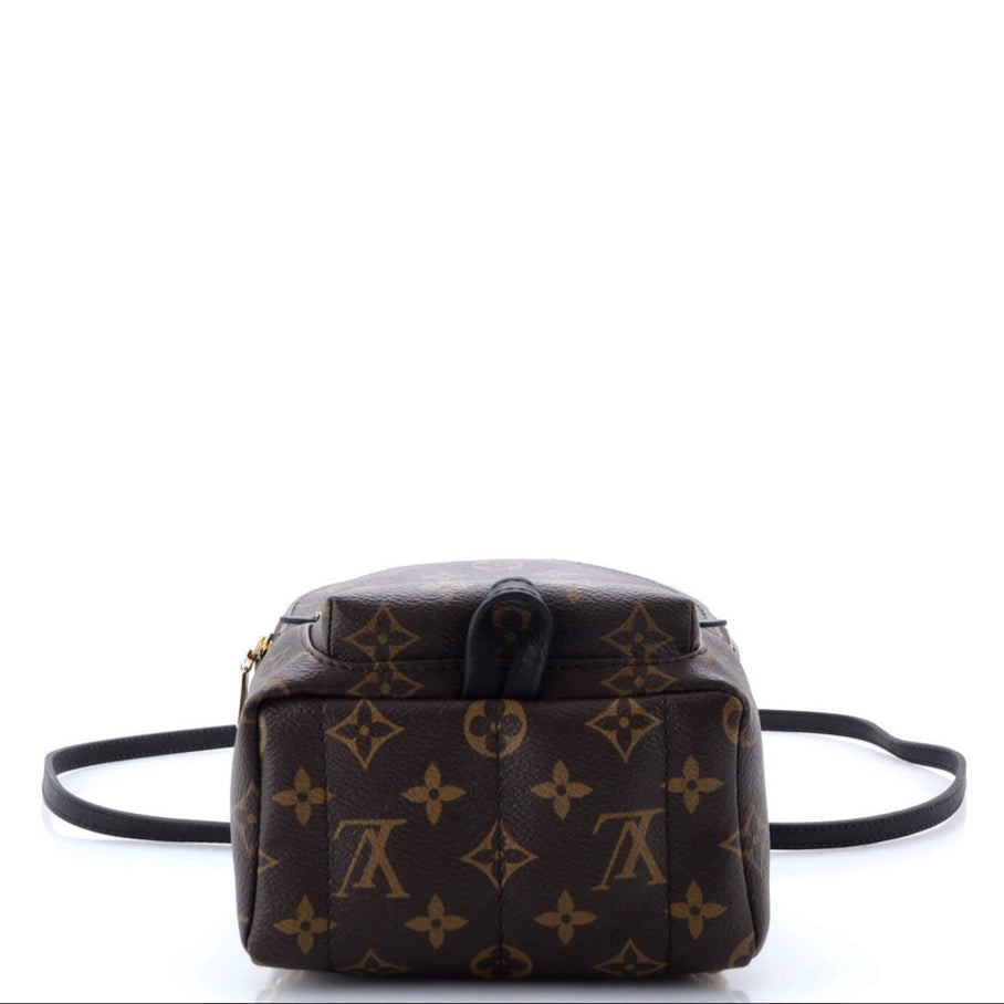 Palm Springs Backpack Monogram Canvas Mini Twins