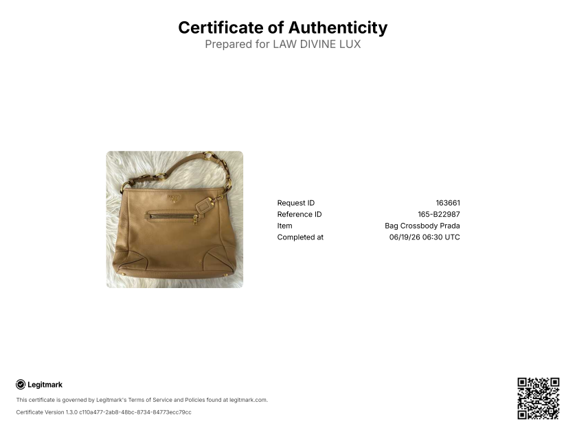 Prada Vitello Daino Leather Hobo Bag Twins B22987