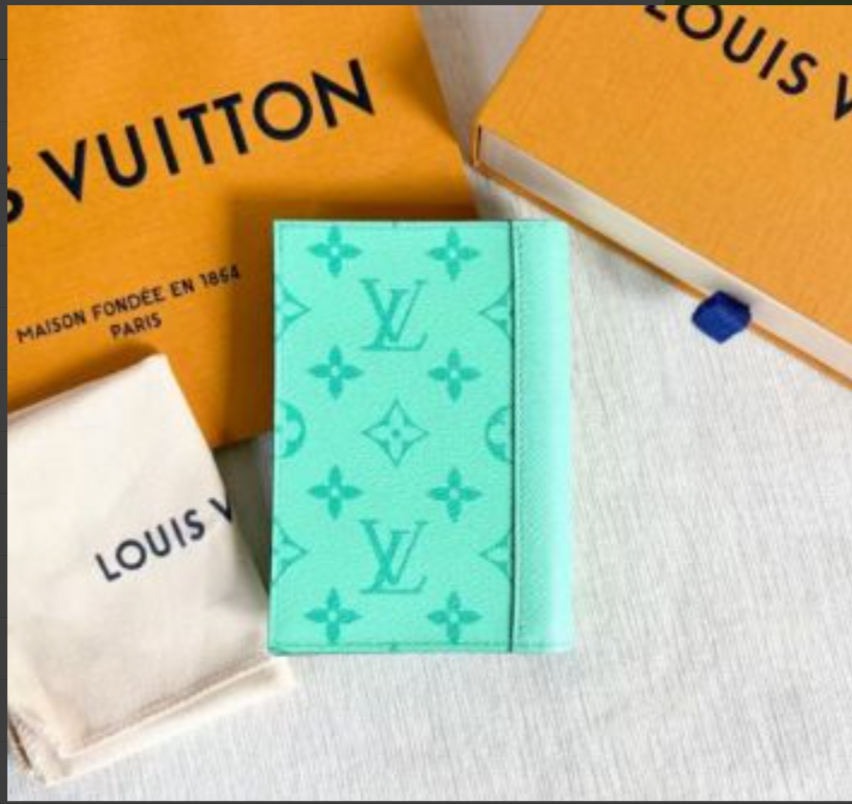 Louis Vuitton passport holder Twins