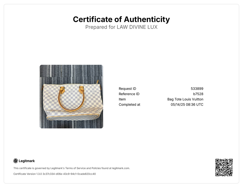 Saleya Handbag Damier PM