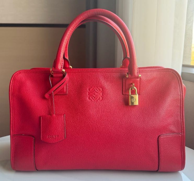 Loewe Amazona top-handle bag twins B24887