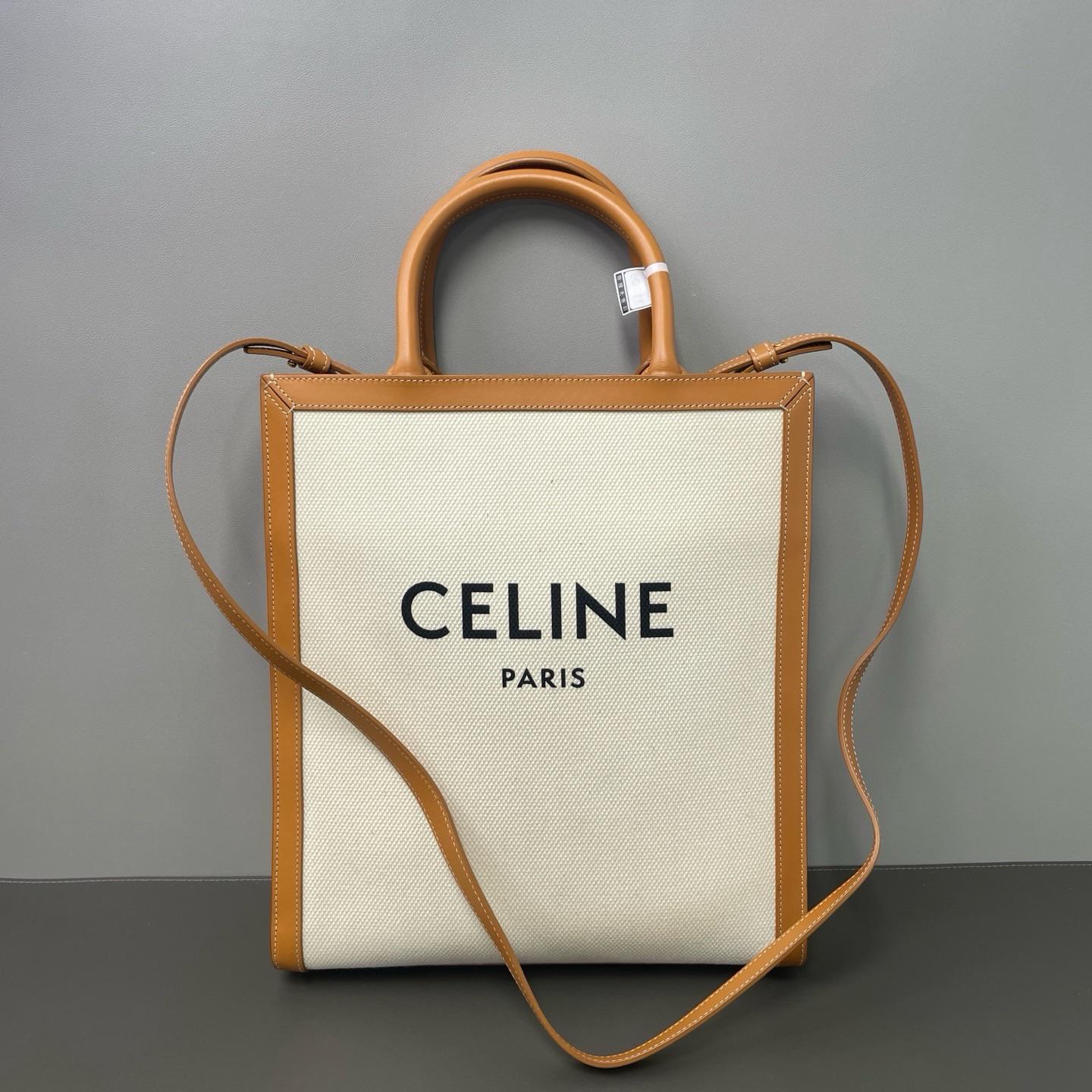 Celine Mini Vertical Canvas Leather Tote Bag LDZ138
