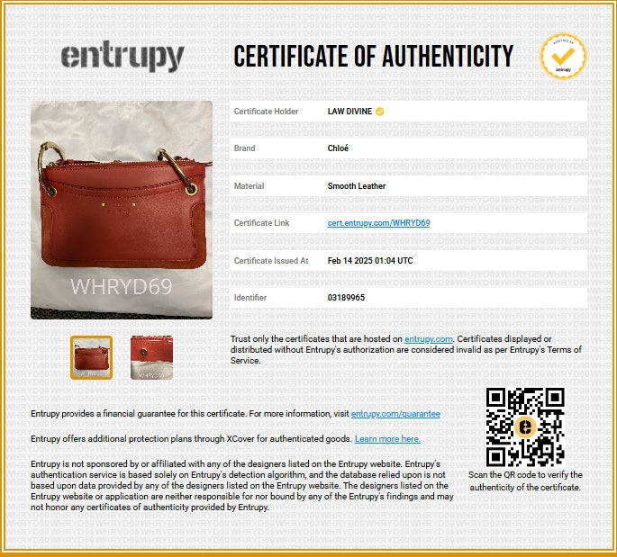 Calfskin Suede Small Roy Bag Earthy Red