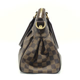 Trevi Handbag Damier PM